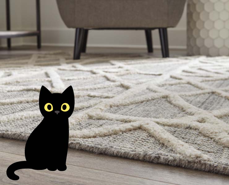White rug with legs of chair in background